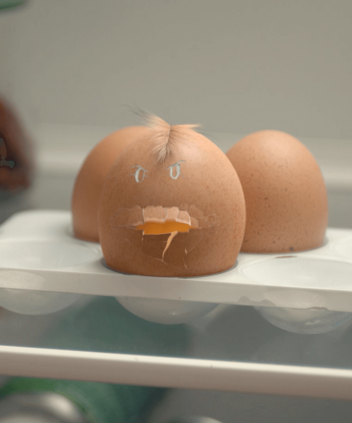 Ça suffit le gâchis !