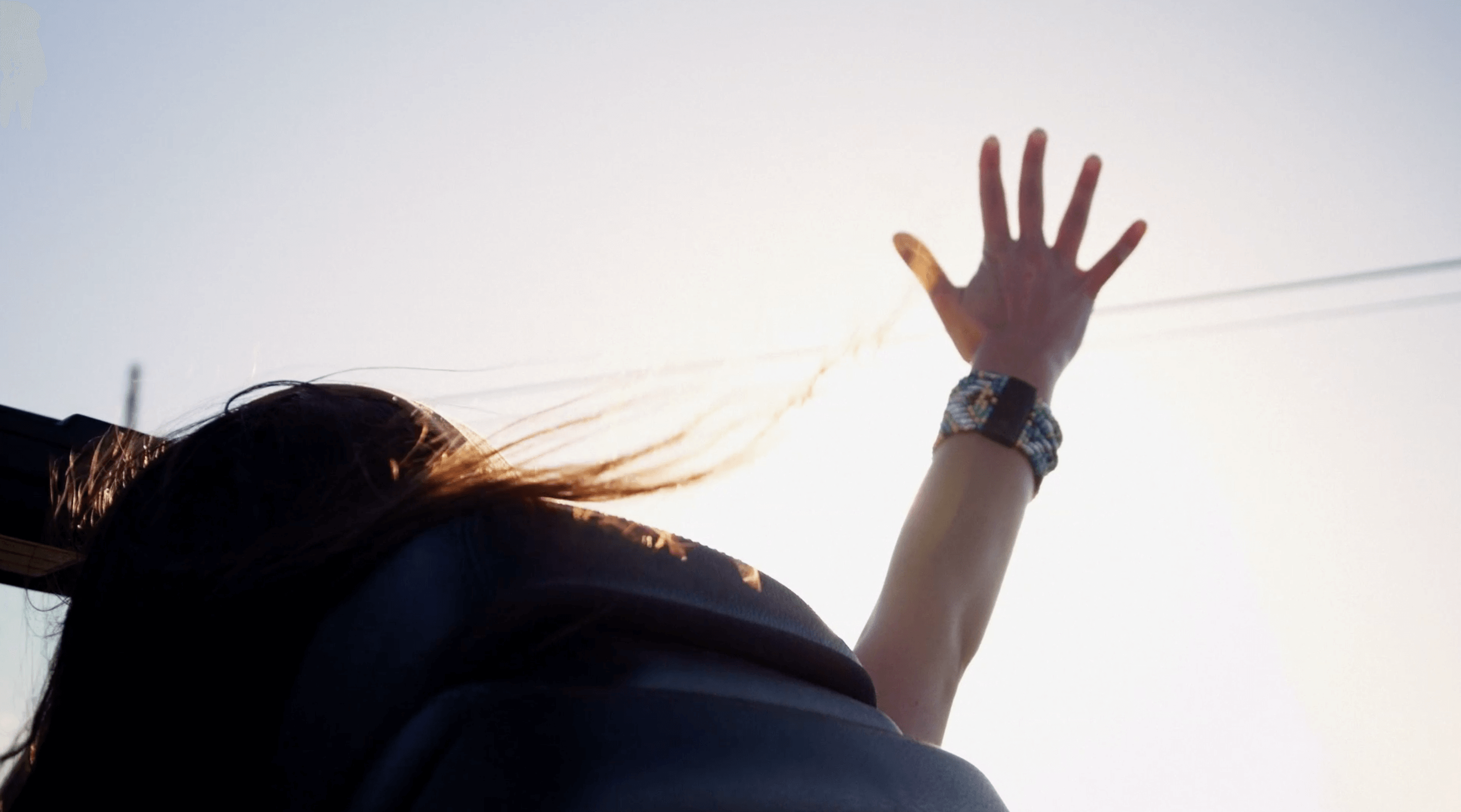 Vivre dans un monde vivable  : le film