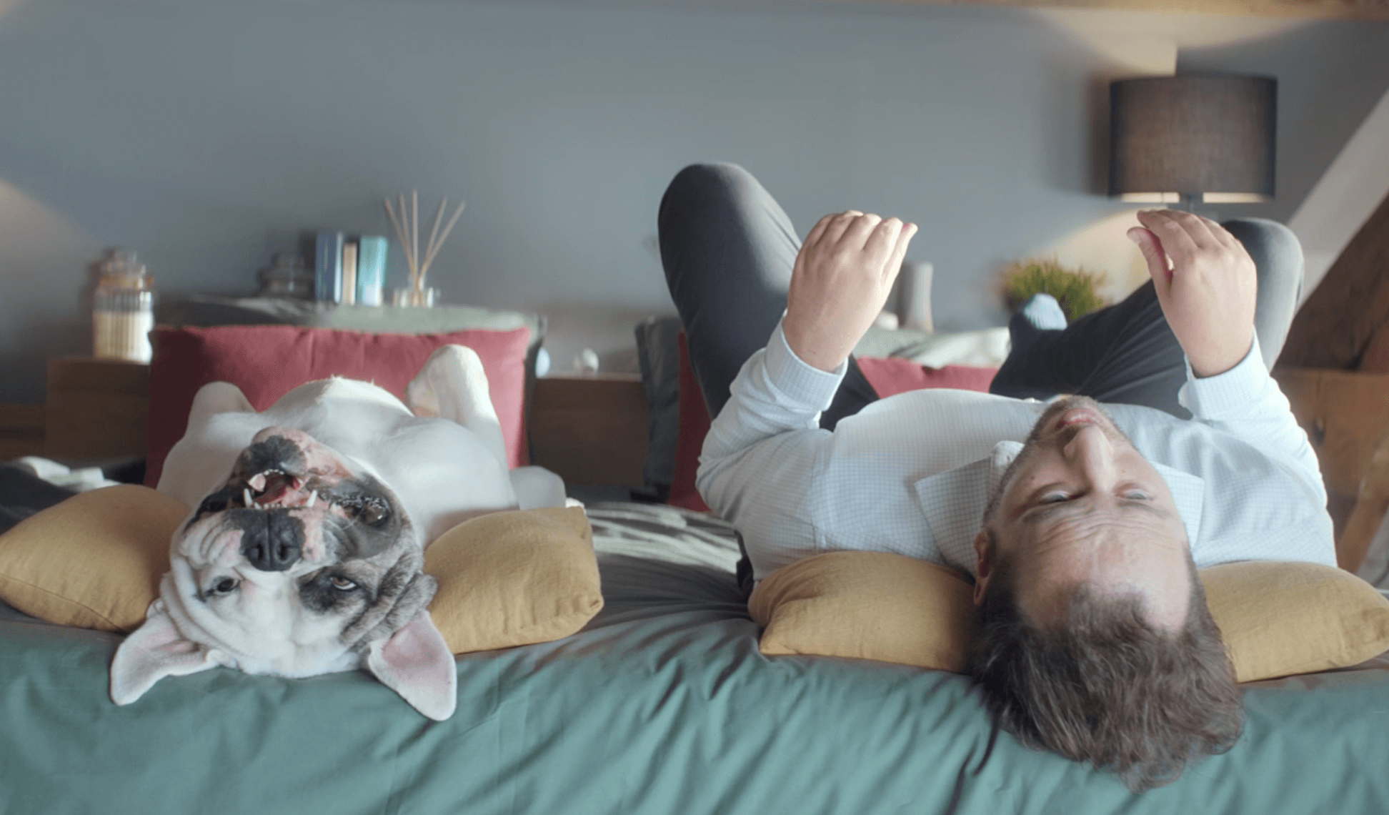 Houra.fr repart en télé